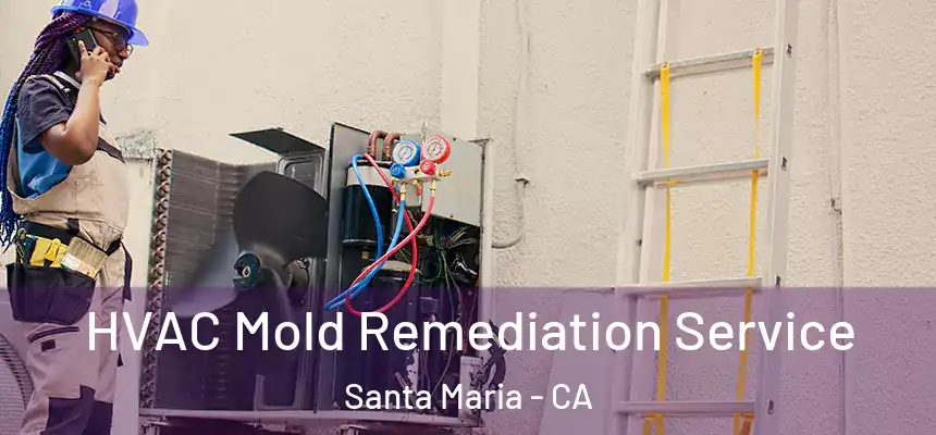 HVAC Mold Remediation Service Santa Maria - CA