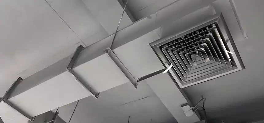 Our Pest Removal From Ducts Services in Santa Maria, CA