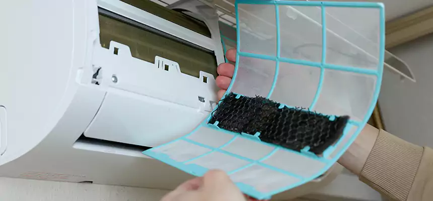 Gentle Ductwork Odor-Control Pet Dander Duct Cleaning in Santa Maria, CA