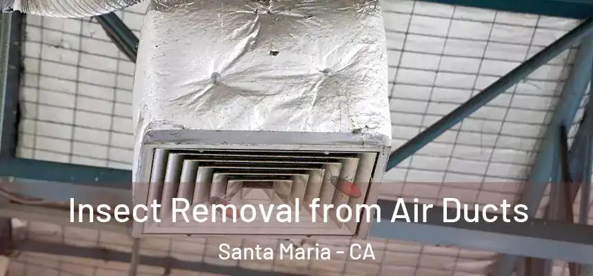 Insect Removal from Air Ducts Santa Maria - CA
