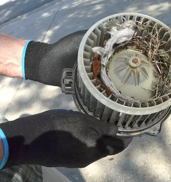 About Air Duct Rat Removal in Santa Maria, CA